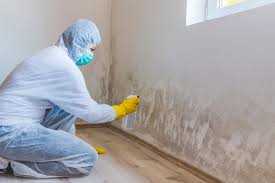 Mold Remediation for Vacation Homes in Rock Hill, SC