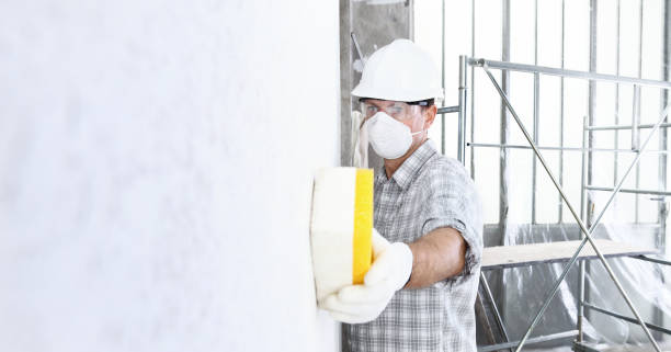 Best Environmental Consulting for Mold Prevention  in Rock Hill, SC